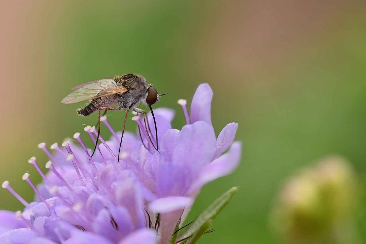 How to Create a Garden that Blooms Year-Round